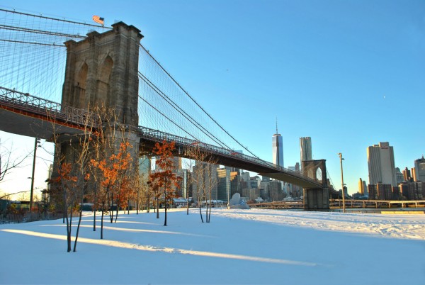 Snow Storm Blankets New York 